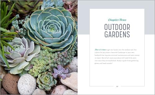 Essential Succulents: The Beginner's Guide by Ken Shelf