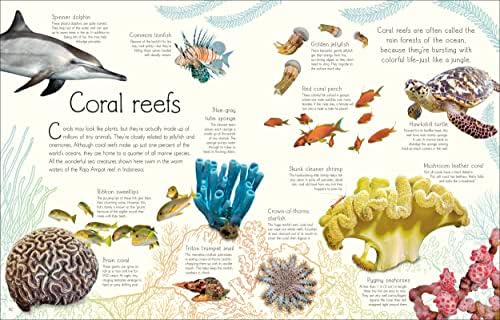 An Anthology of Aquatic Life: Discover the Secret Lives Under the Sea (DK Children's Anthologies) by Sam Hume