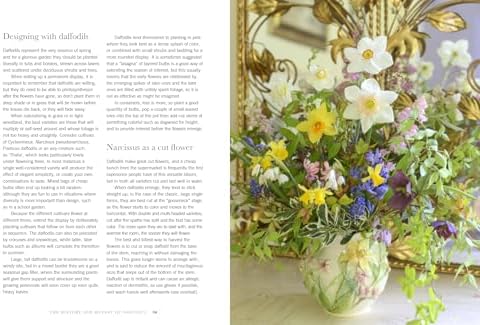 Daffodils: Beautiful Varieties for Home and Garden (Flowers) by Naomi Slade