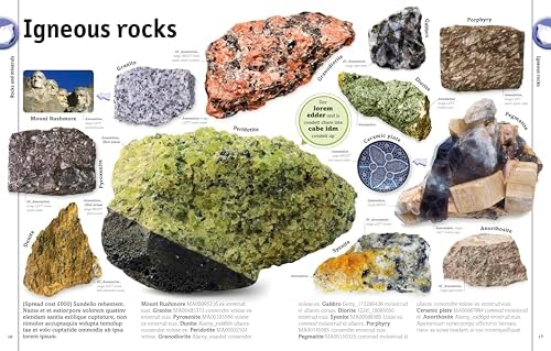 The Rock and Gem Book: And Other Treasures of the Natural World (DK Our World in Pictures) by DK