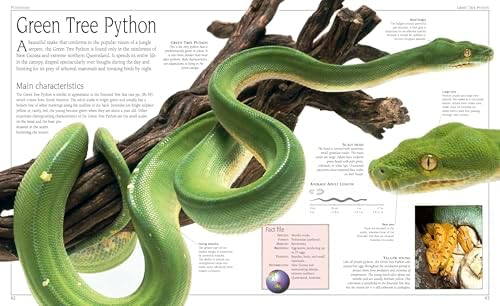 Snake: The Essential Visual Guide by Chris Mattison