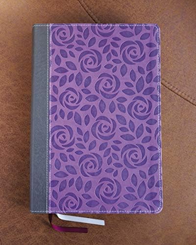 NIV, Thinline Bible, Giant Print, Leathersoft, Gray/Purple, Red Letter, Comfort Print by Zondervan
