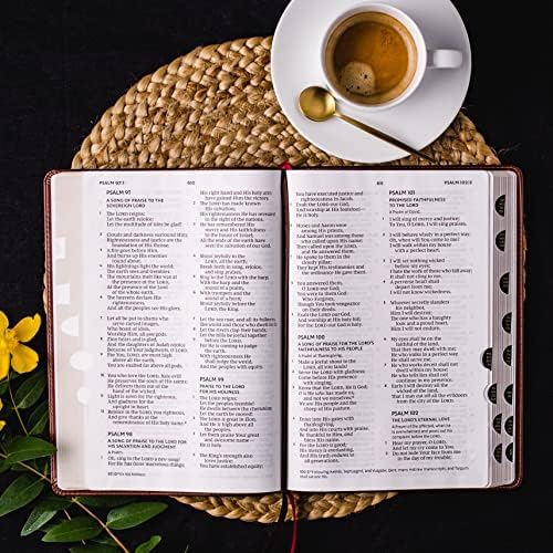 NKJV Holy Bible, Giant Print Thinline Bible, Brown Leathersoft, Thumb Indexed, Red Letter, Comfort Print: New King James Version by Thomas Nelson