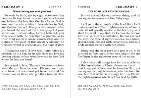 Daily Light - Burgundy: A 365-Day Morning and Evening Devotional by Anne Graham Lotz