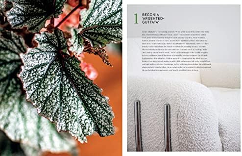 Living Wild: How to plant style your home and cultivate happiness by Hilton Carter