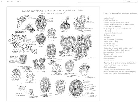 Roses Love Garlic: Companion Planting and Other Secrets of Flowers by Louise Riotte