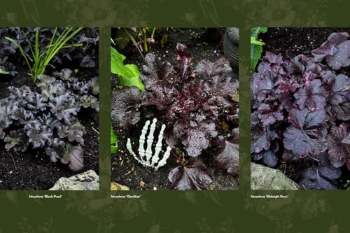 Darkness in Bloom: A Gothic Guide to Dramatic and Moody Plants by Chloe Hurst