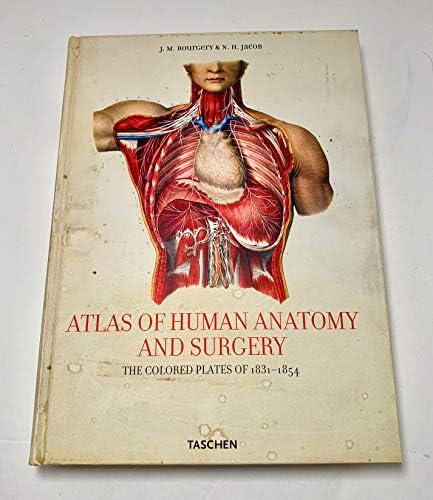 Atlas of Human Anatomy and Surgery: The Complete Coloured Plates of 1831-1854 by Jean-marie Le Minor