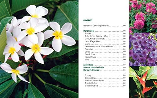Florida Gardener's Handbook, 2nd Edition: All you need to know to plan, plant, & maintain a Florida garden by Tom MacCubbin