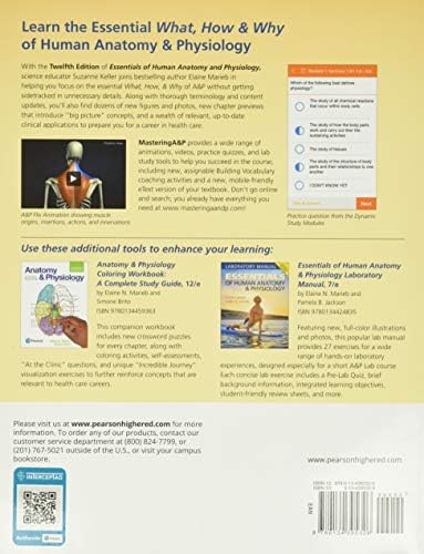 Essentials of Human Anatomy & Physiology by Elaine Marieb