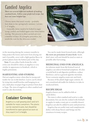Complete Guide to Growing and Cultivating Herbs & Spices: Expert Advice for Planting Indoors and Outdoors, the Best Containers, and Storage (IMM Lifestyle Books) For Homesteading and Self-Sufficiency by Linda Gray
