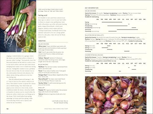 No Dig: Nurture Your Soil to Grow Better Veg with Less Effort by Charles Dowding