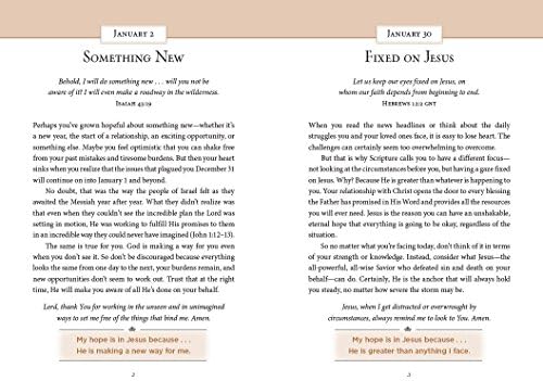 Jesus, Our Perfect Hope: A Daily Devotional for Finding Confidence and Encouragement in God’s Promises (365 Devotions - Inspiration for Every Day of the Year) (Devotionals from Charles F. Stanley) by Charles F. Stanley