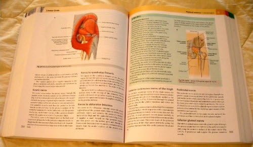 Gray's Anatomy for Students: With STUDENT CONSULT Online Access by Richard L. Drake