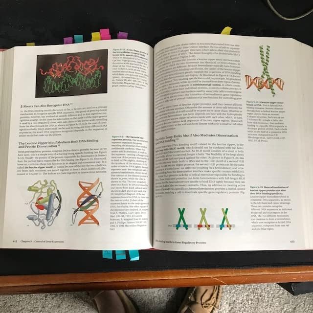 Molecular Biology of the Cell 3E by Bruce Alberts