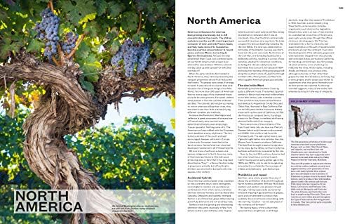 The World Atlas of Wine 8th Edition by Jancis Robinson
