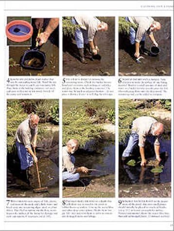 The American Horticultural Society Complete Guide to Water Gardening by Peter Robinson