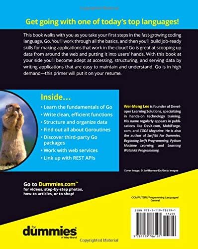Go Programming Language For Dummies (For Dummies (Computer/Tech)) by Wei-Meng Lee