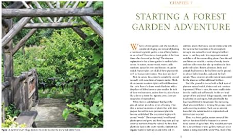 The Home-Scale Forest Garden: How to Plan, Plant, and Tend a Resilient Edible Landscape by Dani Baker
