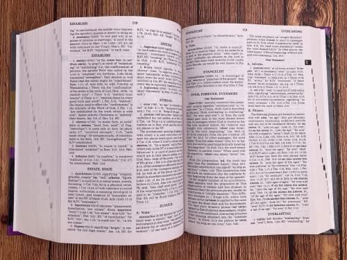 Strong's Concise Concordance And Vine's Concise Dictionary Of The Bible Two Bible Reference Classics In One Handy Volume by James Strong