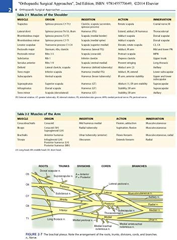 Orthopaedic Surgical Approaches by A. Bobby Chhabra MD
