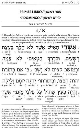 Interlinear Tehillim Spanish - - The Wengrowsky Edition by Rabbi Menachem Davis