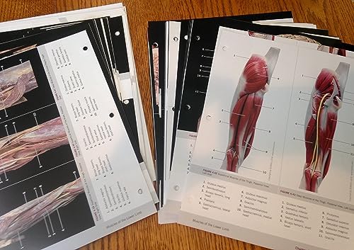 Photographic Atlas for Anatomy & Physiology, A by Nora Hebert