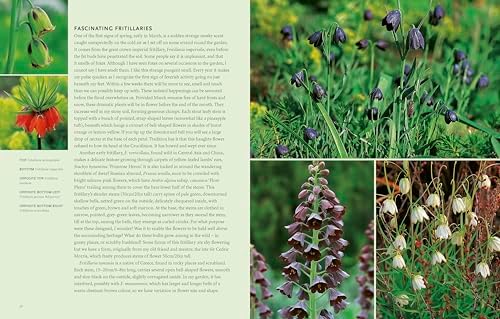 Drought-Resistant Planting: Lessons from Beth Chatto's Gravel Garden by Beth Chatto