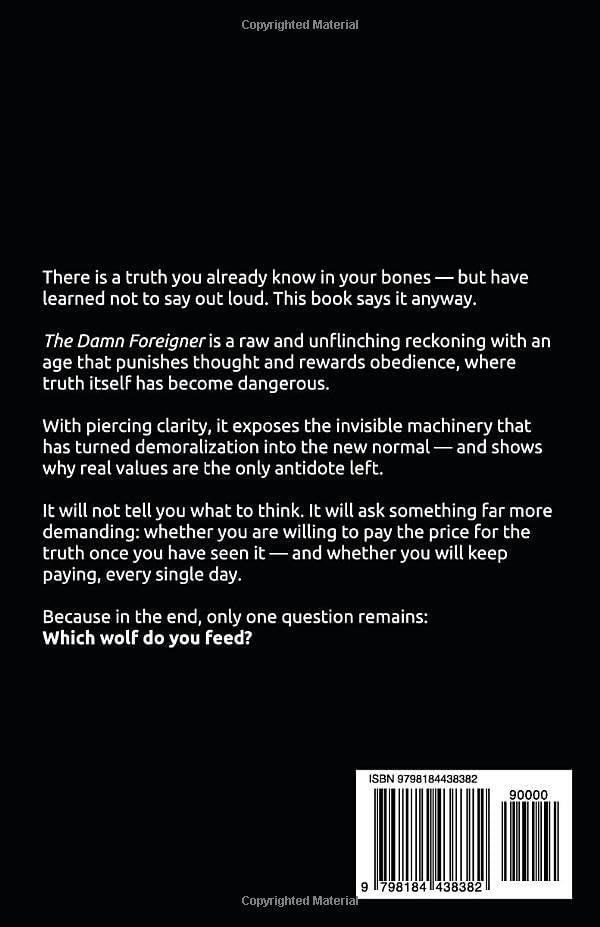 DAMN FOREIGNER: Your Values – Your Choices by Kristina Win
