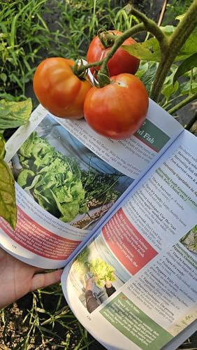 POCKET FARM - The Smart, Easy Way to Food Independence by Alec Deacon