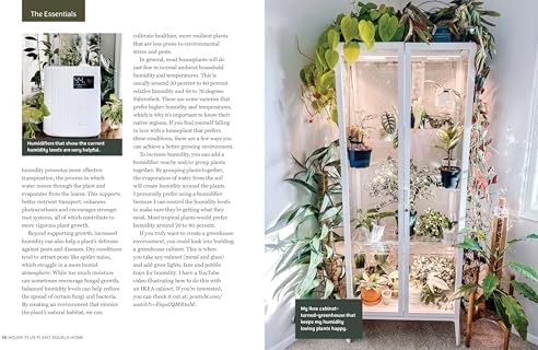 House Plus Plant Equals Home by Samantha Hermann