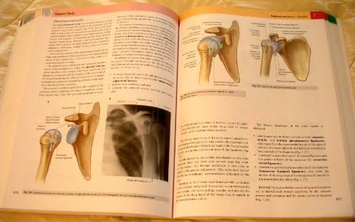 Gray's Anatomy for Students: With STUDENT CONSULT Online Access by Richard L. Drake