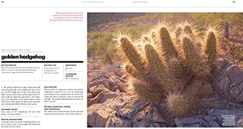 The Gardener's Guide to Cactus: The 100 Best Paddles, Barrels, Columns, and Globes by Scott Calhoun