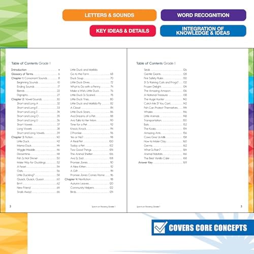 Spectrum Reading 1st Grade Workbooks, Activity Book Covering the Alphabet, Sight Words, Passages, and more Phonics, Classroom or Homeschool Curriculum by Spectrum