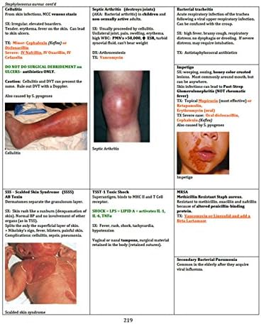 Boards Ready, USMLE Step 1, Step 2, Step 3 by MD Tricia A. Derges