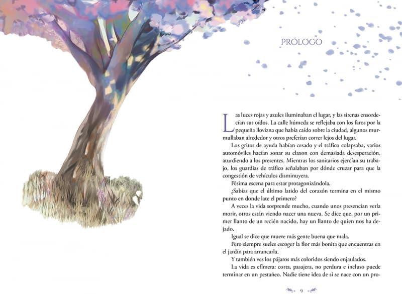 Boulevard. Libro 1: (edición especial ilustrada) by Flor M. Salvador