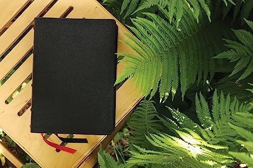 NASB, Thompson Chain-Reference Bible, Genuine Leather, Calfskin, Black, 1995 Text, Red Letter, Thumb Indexed, Comfort Print by Zondervan