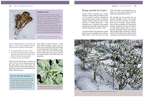 How to Grow Winter Vegetables by Charles Dowding