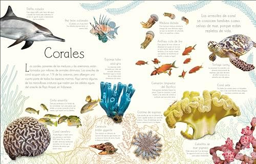Maravillas del mundo acuático (An Anthology of Aquatic Life) (DK Children's Anthologies) (Spanish Edition) by Sam Hume
