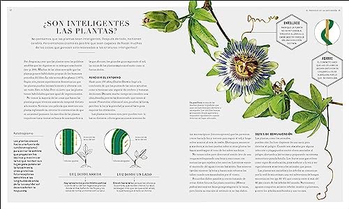 Jardinología (The Science of Gardening): La ciencia de la jardinería (Spanish Edition) by Dr. Stuart Farrimond