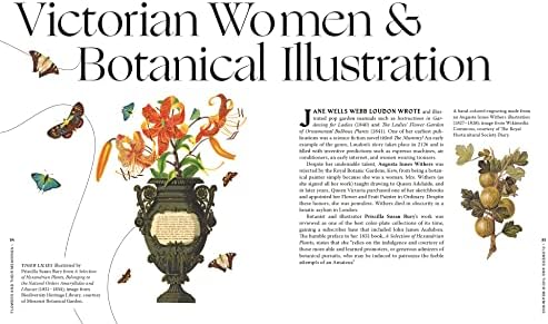 Flowers and Their Meanings: The Secret Language and History of Over 600 Blooms (A Flower Dictionary) by Karen Azoulay