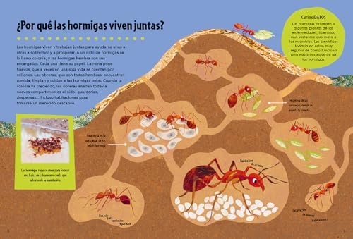 El gran libro de los grandes PORQUÉS / Britannica's First Big Book of Why (ENCICLOPEDIA BRITANICA PARA NIÑOS) (Spanish Edition) by Enciclopedia Britannica