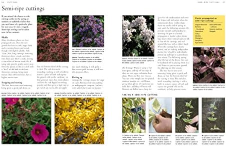 How to Propagate 375 Plants: A Practical Guide to Propagating Your Own Flowers, Foliage Plants, Trees, Shrubs, Climbers, Wet-Loving Plants, Bog and Water Plants, Vegetables and Herbs by Richard Rosenfeld