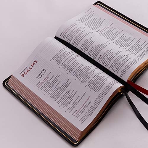 NKJV, Thinline Reference Bible, Large Print, Premium Goatskin Leather, Black, Premier Collection, Comfort Print: Holy Bible, New King James Version by Thomas Nelson
