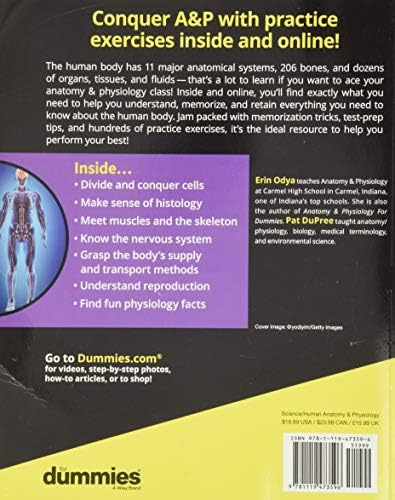 Anatomy & Physiology Workbook For Dummies with Online Practice by Erin Odya