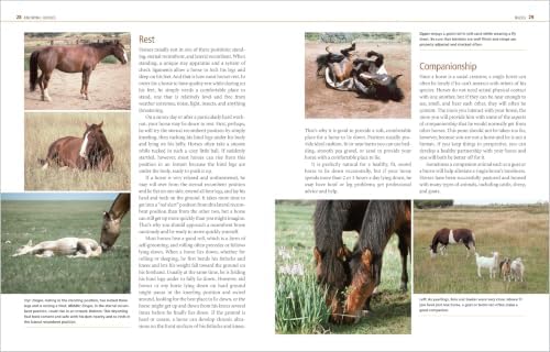 Horsekeeping on a Small Acreage: Designing and Managing Your Equine Facilities by Cherry Hill