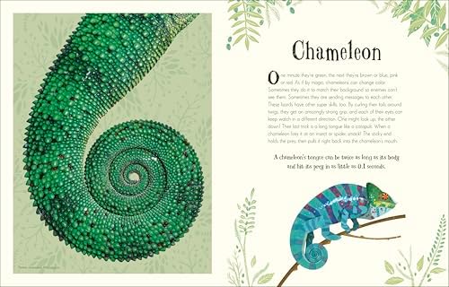 An Anthology of Intriguing Animals: Discover the Fascinating Truths of the Animal Kingdom by DK