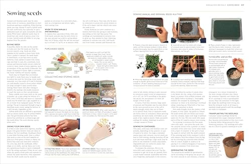 Propagating Plants: How to Grow Plants for Free by DK