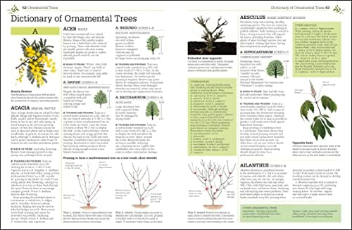 Pruning and Training, Revised New Edition: What, When, and How to Prune by DK