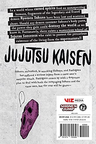 Jujutsu Kaisen, Vol. 14: The Shibuya Incident--Right And Wrong-- by Gege Akutami